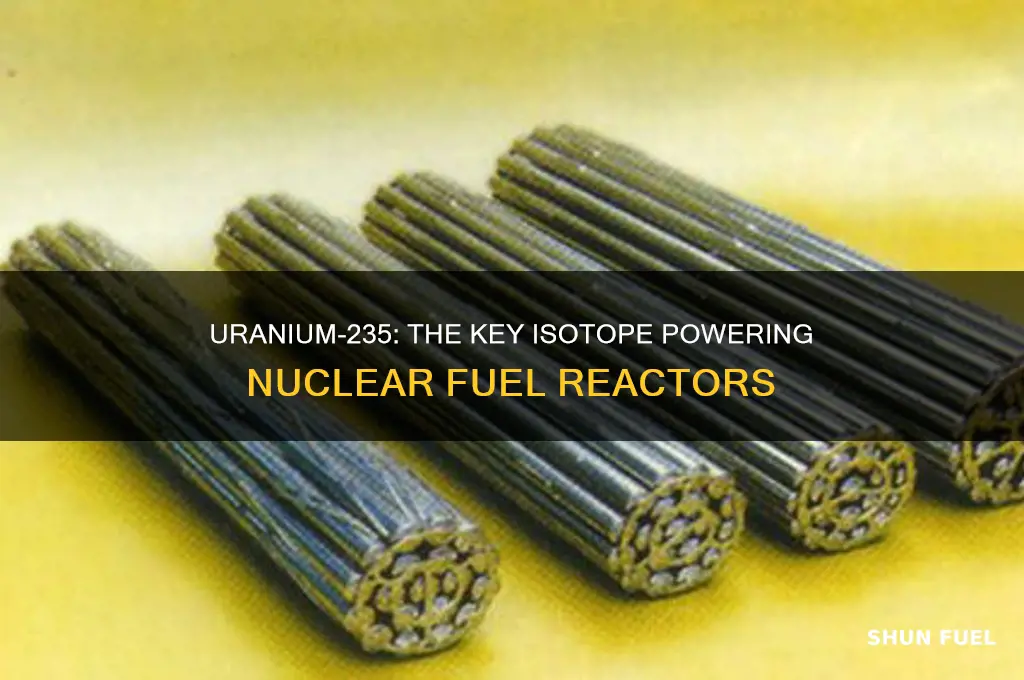 what type of uranium isotope is used for nuclear fuel