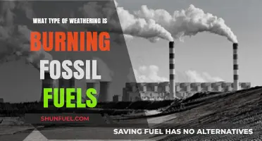 Burning Fossil Fuels: Accelerating Chemical Weathering and Climate Change