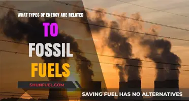 Fossil Fuels: Exploring the Energy Types They Power and Impact