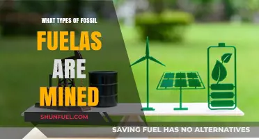 Exploring the Varieties of Fossil Fuels Extracted Through Mining