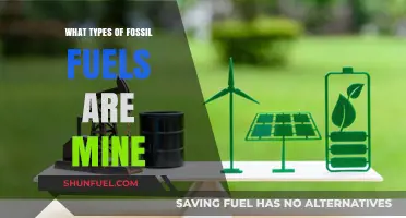 Exploring the Different Types of Fossil Fuels Extracted Through Mining