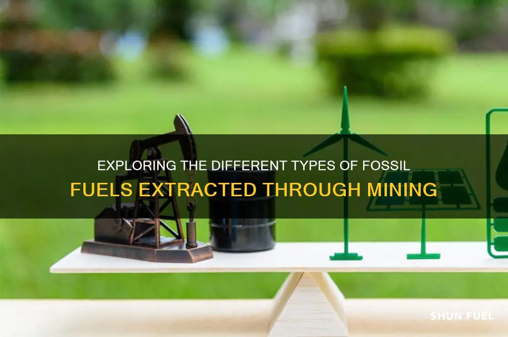 what types of fossil fuels are mine