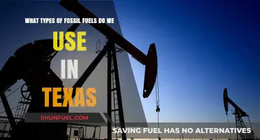 Texas Energy Sources: Exploring Fossil Fuels Used in the Lone Star State