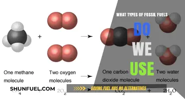 Exploring the Fossil Fuels Powering Our World: Types and Uses