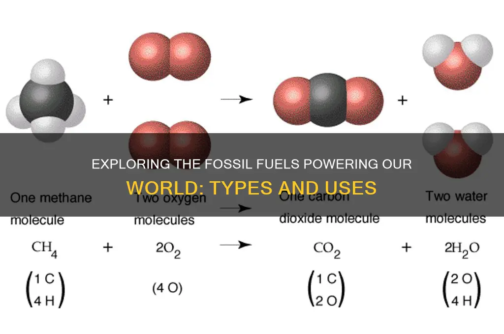 what types of fossil fuels do we use