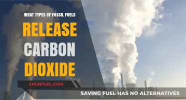 Fossil Fuels and Carbon Dioxide: Which Types Contribute Most?