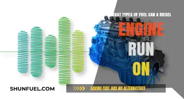 Exploring Diesel Engine Flexibility: Alternative Fuel Options