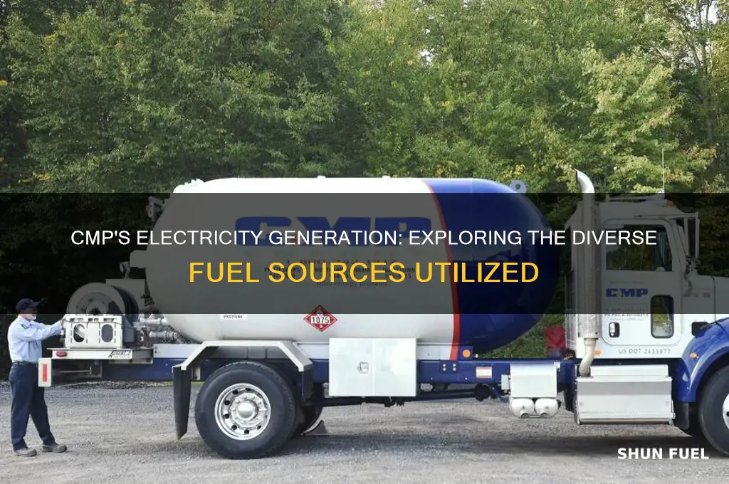 what types of fuel does cmp use to generate electricity