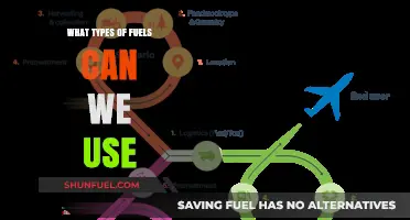 Exploring Diverse Fuel Options for a Sustainable Energy Future