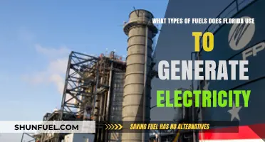 Florida's Energy Mix: Exploring Fuels Powering the Sunshine State's Electricity
