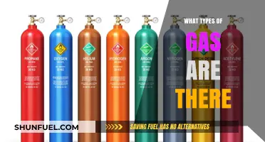 Exploring the Diverse World of Gases: A Comprehensive Guide