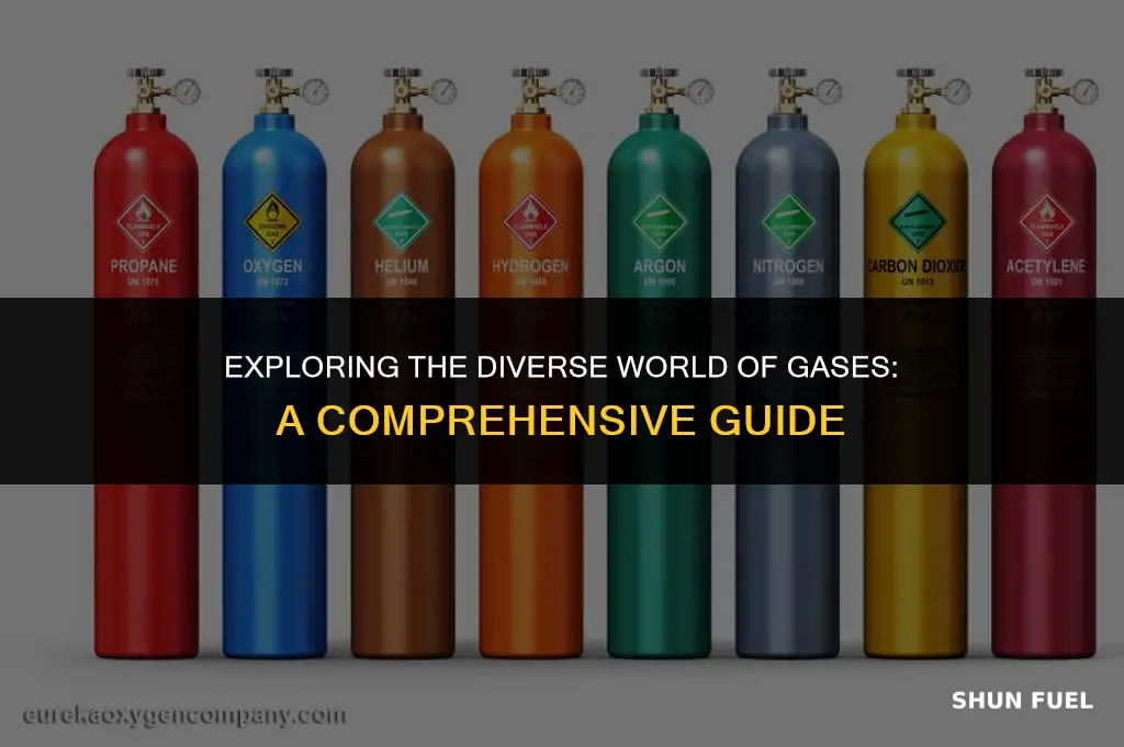 what types of gas are there