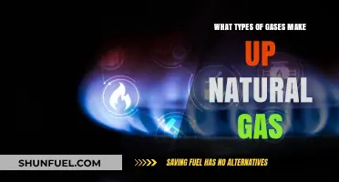 Exploring the Composition of Natural Gas: A Molecular Journey