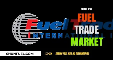 Exploring the Dynamics of the UAE Fuel Trade Market
