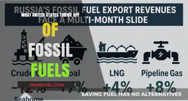 Fossil Fuels: The Economic Lifeline of the United States