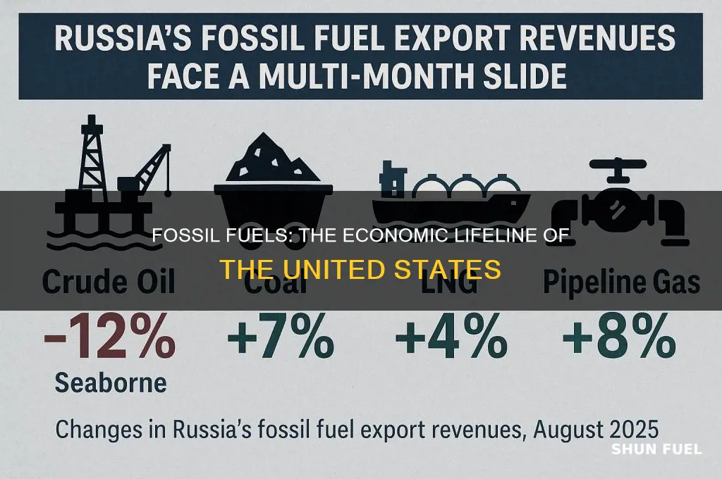 what united states thrive off of fossil fuels