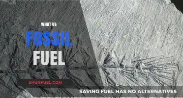 Understanding Fossil Fuels: Origins, Uses, and Environmental Impact Explained