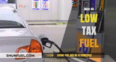 Exploring the Impact of Low Tax Fuel on Economy and Environment