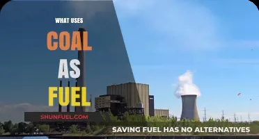Coal-Powered Industries: Exploring Sectors That Rely on Coal as Fuel