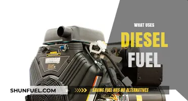 Diesel Fuel: Who Needs It?