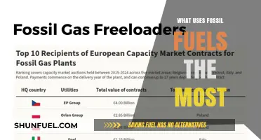 Top Fossil Fuel Consumers: Industries Driving Global Energy Demand