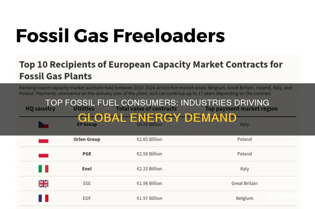 what uses fossil fuels the most