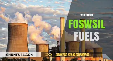 Exploring Industries and Daily Life Uses of Fossil Fuels