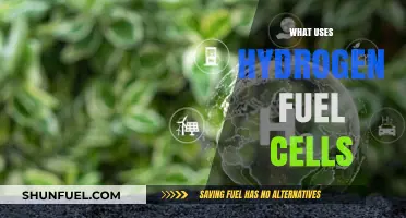Hydrogen Fuel Cells: Powering Transportation, Industry, and Beyond