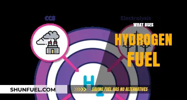 Hydrogen Fuel Applications: Powering Transportation, Industry, and Clean Energy Solutions