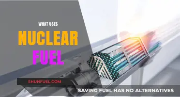 Exploring Nuclear Fuel Applications: Power, Medicine, and Beyond
