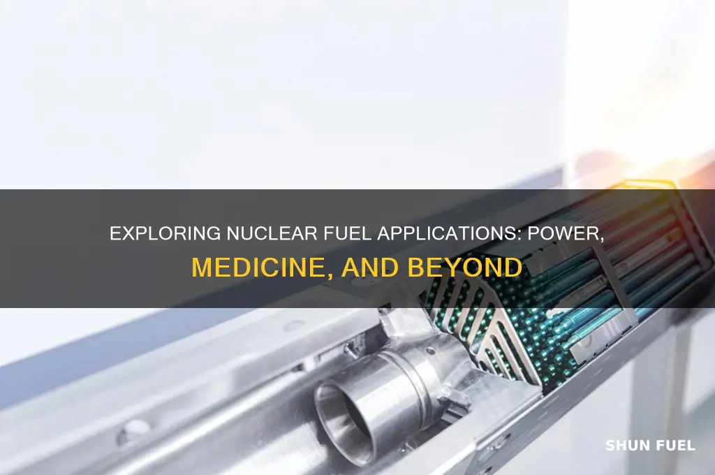 what uses nuclear fuel