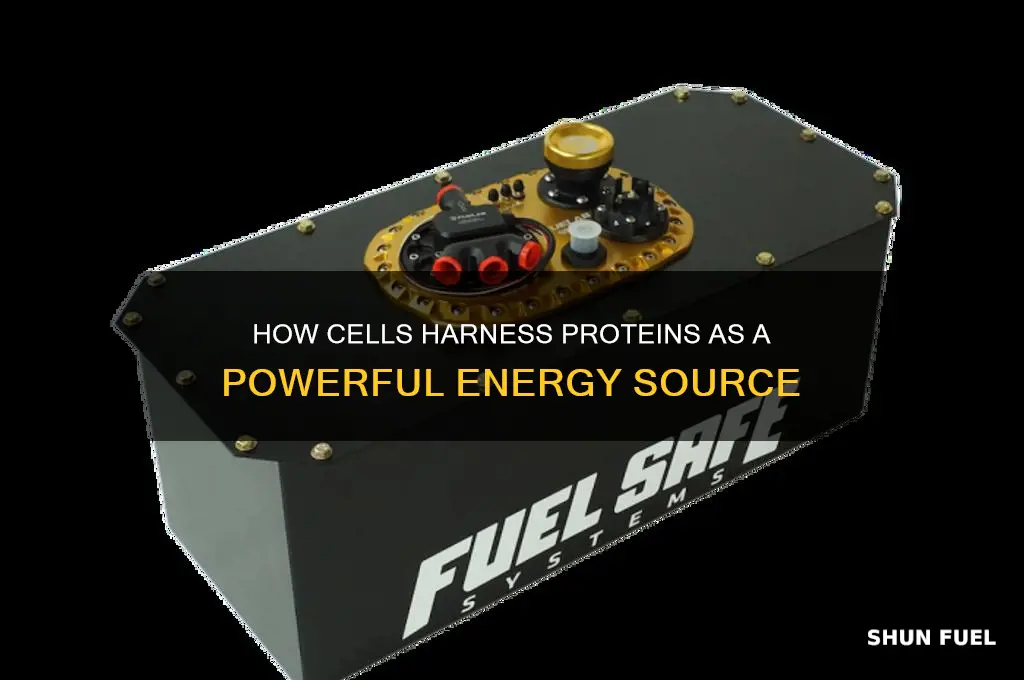 what uses proteins as fuel