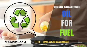 Transforming Waste to Energy: How Recycled Cooking Oil Fuels Innovation