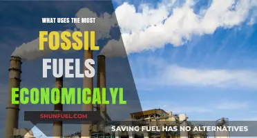 Economic Sectors Driving Fossil Fuel Consumption: Top Energy-Intensive Industries