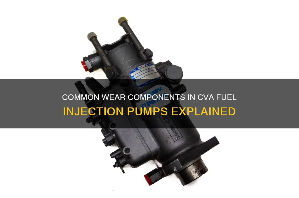what usually wears out in a cva fuel injection pump