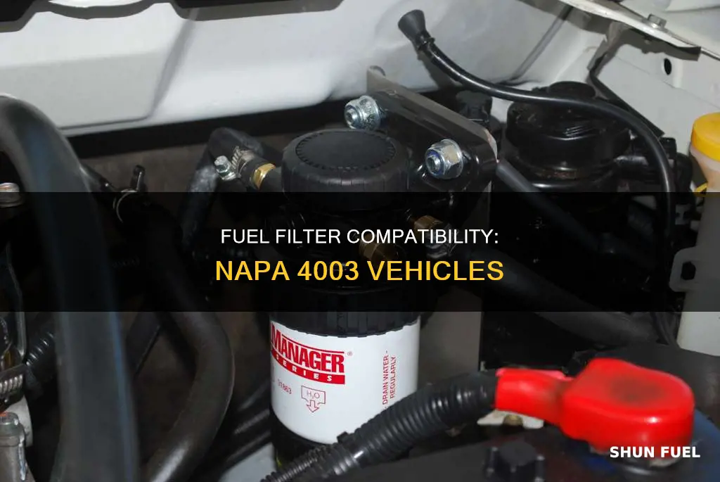 what vehicle uses napa 4003 fuel filter