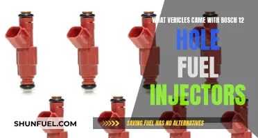 Bosch 12-Hole Fuel Injectors: Which Vehicles Use Them?