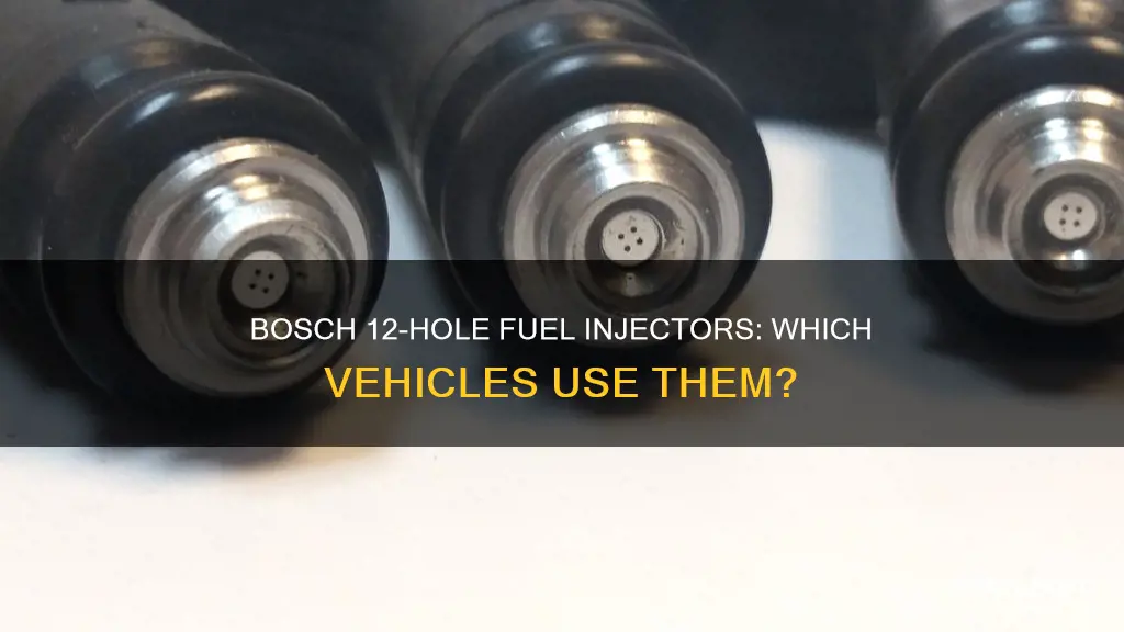 what vehicles came with bosch 12 hole fuel injectors