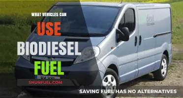 Biodiesel Fuel Compatibility: Which Vehicles Can Run on It?