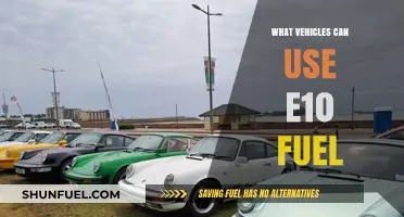 E10 Fuel Compatibility: Which Vehicles Can Safely Use It?