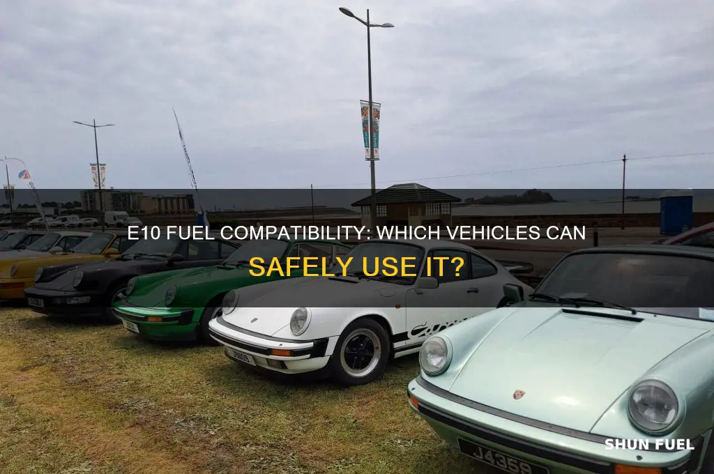 what vehicles can use e10 fuel