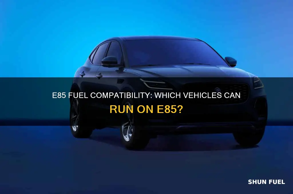 what vehicles can use e88 fuel