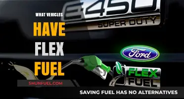 Exploring Flex Fuel Options: A Guide to Versatile Vehicles