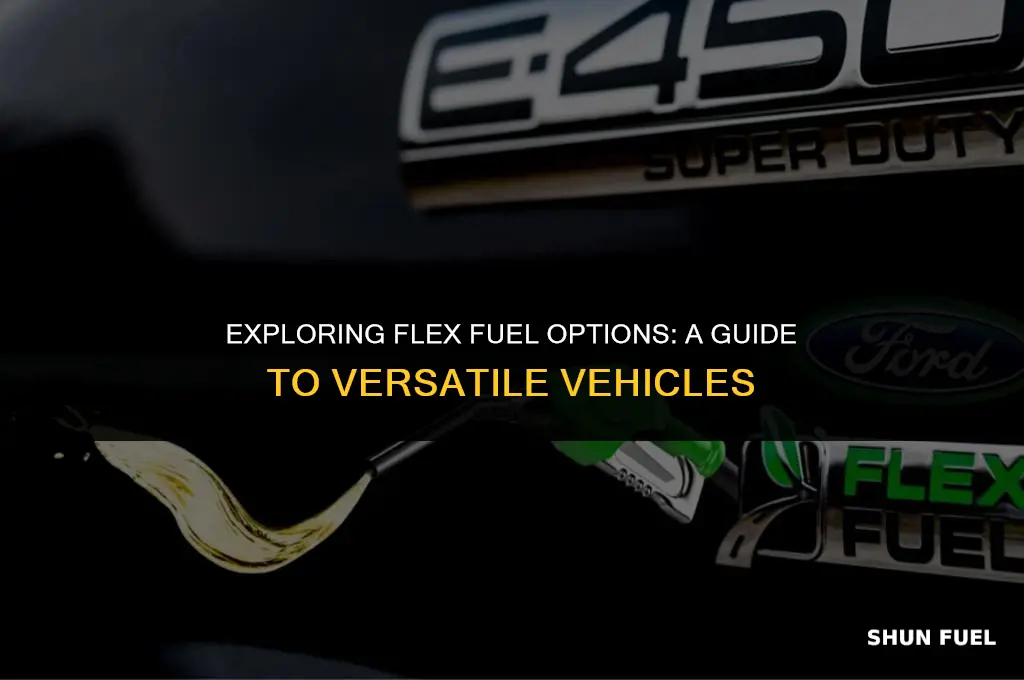 what vehicles have flex fuel