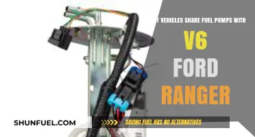 Vehicles Sharing Fuel Pumps with the V6 Ford Ranger Revealed