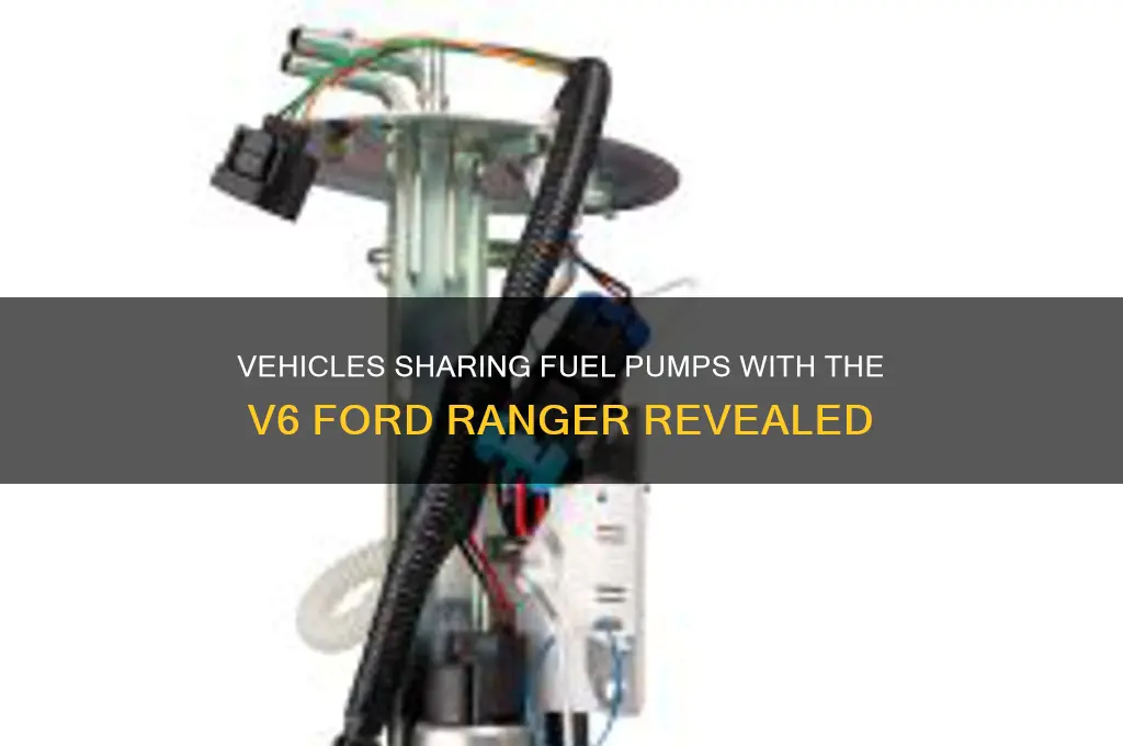 what vehicles share fuel pumps with v6 ford ranger