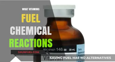 Unlocking Energy: The Vital Vitamins Powering Chemical Reactions
