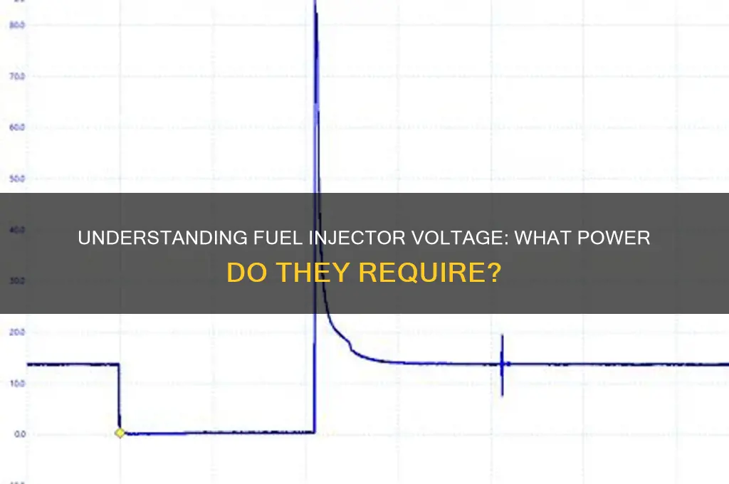 what voltage do fuel injectors use