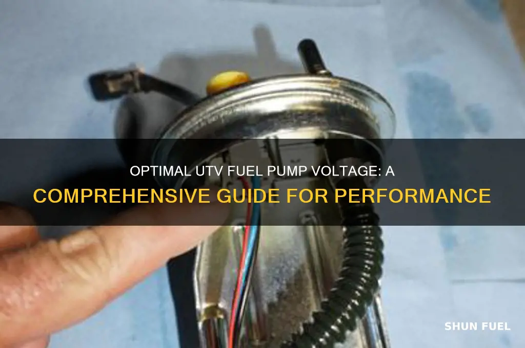 what voltage for utv fuel pump