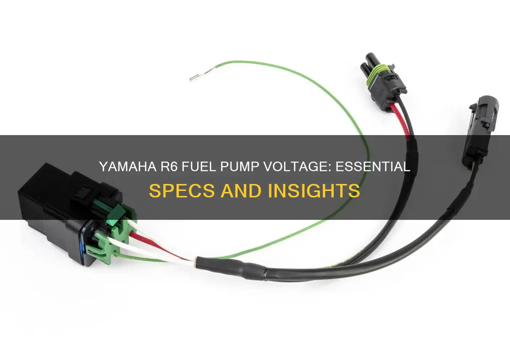 what voltage yamaha r6 fuel pump